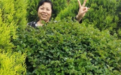 奥运会镜头里的名将